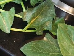 -迎宾楼(解放西街店)