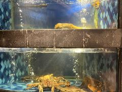 -陶陶居·雅园(凯华国际店)