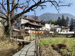-塔川景区