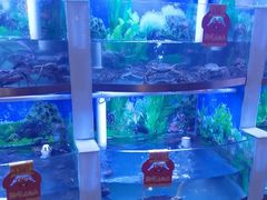 -七欣天香辣蟹火锅(武义壶山广场店)