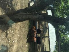 秦岭野生动物园-西安秦岭野生动物园