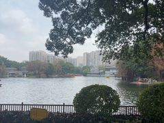 -荔湾湖公园