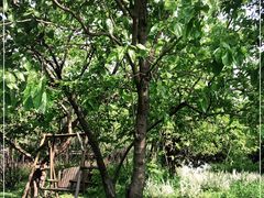 -长兴太湖图影湿地文化园