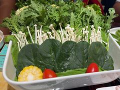 -清真军邺·金富苑肥牛(石坡街旗舰店)