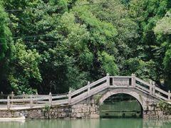 -玉苍山国家森林公园