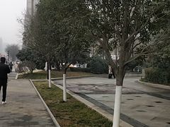 -乔福记香菇面(凤城九路店)