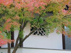-秋霞圃