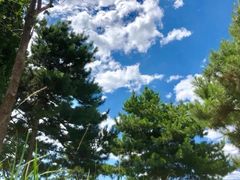 -万柳高尔夫俱乐部