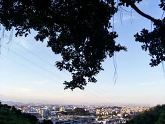 -仙岳公园