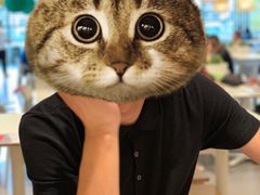 -宜家家居(哈尔滨商场店)