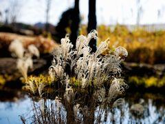 -上海植物园-4号门售票处