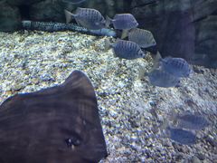 -临沂极地海洋王国
