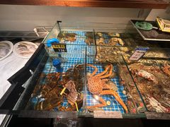 -闽海肴(北辰荟店)