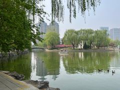 -团结湖公园