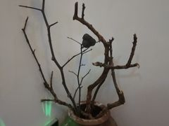 -美味之家·湖景农家乐(太湖东山店)