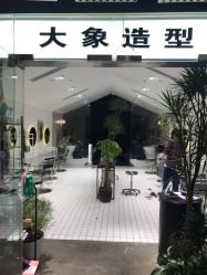 -大象造型
