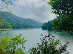-广州市石门国家森林公园