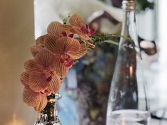 -蝶舍·MAISON PAPILLON