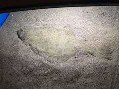-鹿儿岛水族馆