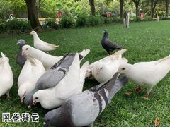 -人民广场