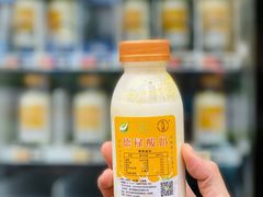 -德禄酸奶(莫家街店)