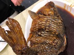 挣蹦鲤鱼-奥华餐厅·老张记(台基厂店)