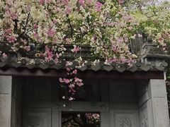 -深圳国际园林花卉博览园