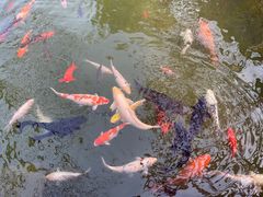 -三里河公园