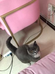 -Pink You美甲美睫纹绣定制中心