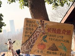 -合肥野生动物园