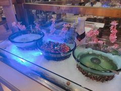 -比亚森自助烤肉料理(裕华店)