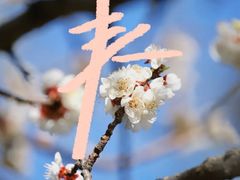 -颐和园
