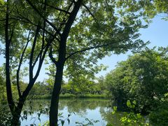 -西溪国家湿地公园