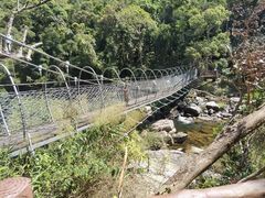 -海南热带雨林国家公园吊罗山景区