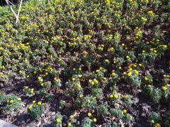 -农家饭包(砂之船中东奥莱店)