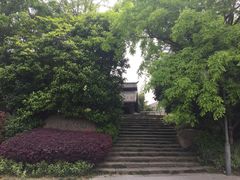 -活水公园