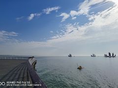 -贡湖湾湿地公园