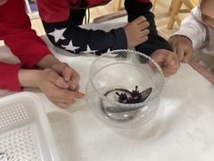 -鸿意星城幼儿园
