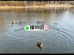 -北京植物园南门售票处