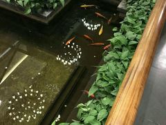 -旺顺阁鱼头泡饼(小红门店)