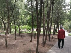 -长辛店二七公园