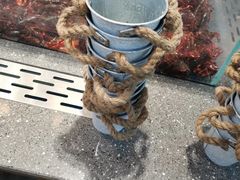 取海鲜的桶-半岛听涛蒸汽海鲜自助(K11店)