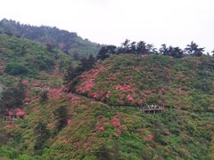 -木兰云雾山