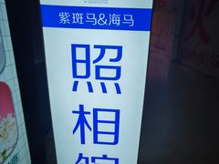 -紫斑马照相馆·生日写真·情侣写真·全家福(恒力城店)