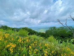 -长白山万达喜来登度假酒店