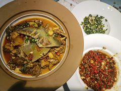 -洞庭家宴·头牌甲鱼(广渠门店)
