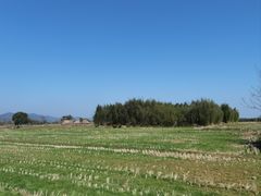 -良渚古城遗址公园