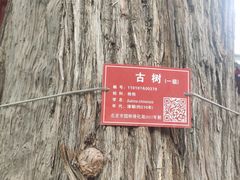 -承恩寺