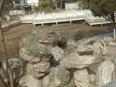 -莲湖公园