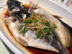 清蒸剑鱼-大食家餐厅(五星步行商业街店)